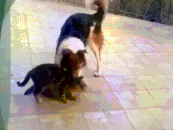 no title